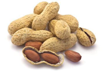 Australian researchers report breakthrough in treatment of peanut allergy