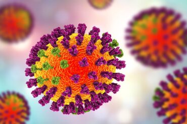 Grippe : un traitement universel grâce au lama ?