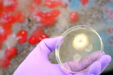Une nouvelle arme tueuse de superbactéries résistantes aux antibiotiques