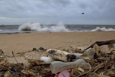 Une étude mentionne des taux inquiétants de microplastiques dans la chaîne alimentaire