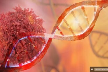 Percer les secrets génétiques du cancer