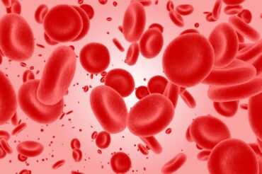 Un simple test sanguin prédit vos chances de survivre à la Covid-19