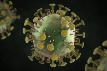 Un candidat vaccin novateur contre le VIH bientôt testé sur des humains