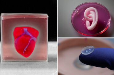 Les projets de la bio-impression: organes et tissus imprimés en 3D