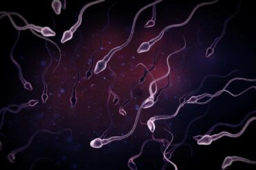 Sperm counts down 50% in last 40 years: study