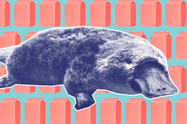 Our latest weapon against antibiotic resistance? Platypus milk