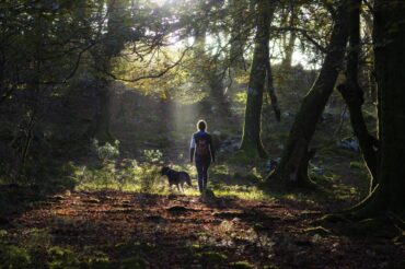 ‘Forest bathing’ is great for your health. Here’s how to do it