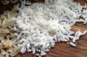 OGM : du riz génétiquement modifié contre le VIH