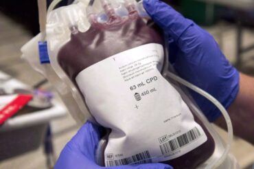 Des enzymes pourraient révolutionner les dons de sang