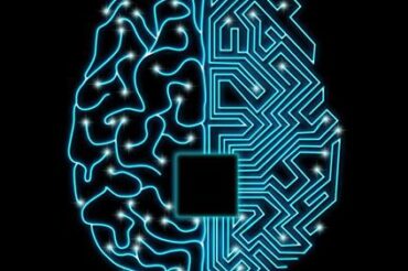 Schizophrenia: ‘Resyncing’ brain circuits could halt symptoms