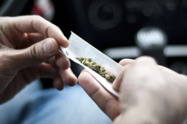 Young drivers who use cannabis at higher risk of collisions for at least 5 hours, McGill finds