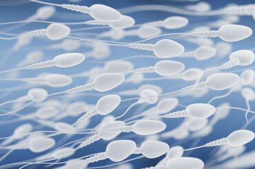 Sperm DNA damage may lead to repeat miscarriages: study