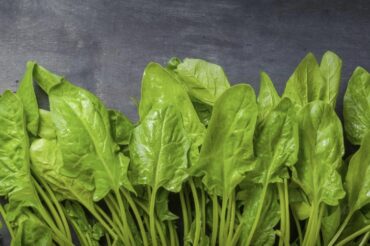 Spinach supplement may increase muscle strength