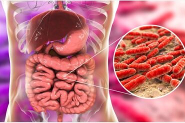 Half the drugs in use damage gut bacteria, says new study