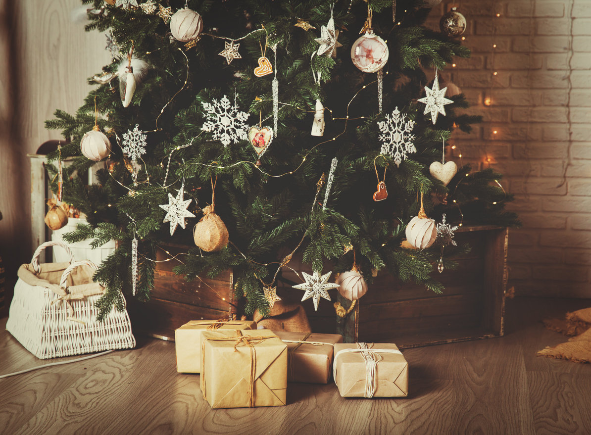 Champignons, insectes, parasites votre sapin de Noël est bourré d — free download