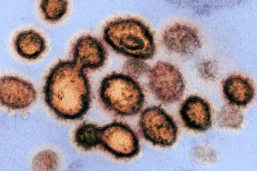 Le coronavirus prospère dans les toilettes, mais ne survit pas au désinfectant