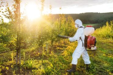 Pesticides et problèmes de santé: le lien se précise pour six maladies graves